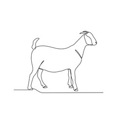One continuous line drawing of Goat vector illustration. Goats are highly social animals, living in herds with established hierarchies and complex communication through bleats and body language.