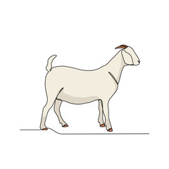 One continuous line drawing of Goat vector illustration. Goats are highly social animals, living in herds with established hierarchies and complex communication through bleats and body language.