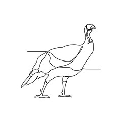 One continuous line drawing of Turkey vector illustration. Turkeys are social creatures, living in flocks led by a dominant male. Animal themes design and suitable for your design asset.