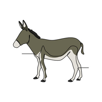 One continuous line drawing of Donkey animal vector illustration. Donkeys are fascinating creatures with a rich history and surprising intelligence. Animal themes for your business asset design.