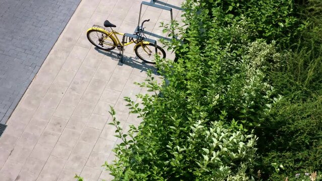 View of green plants swaying in the wind and a parked yellow bike. Clear sunny day. View from above.