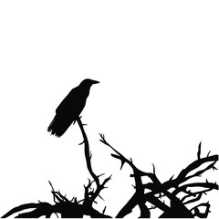 Black Silhouette of Crow on a tree