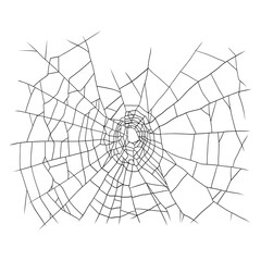 Obraz premium Realistic Spider Web, Hand Draw Vector