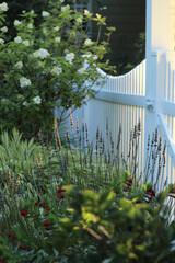 white picket fence in a cottage garden