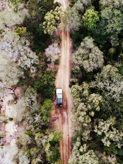 Driving along a dirt track through the forest