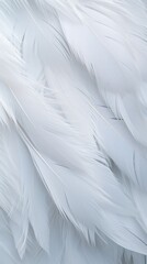 Obraz premium snow white feathers, feathers close up, background texture, abstract. background of feathers, close-up