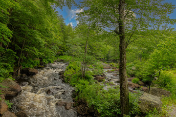 Fototapeta na wymiar Contoocook River in New Hampshire blue skies and green foliage surrounding the water