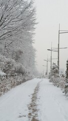 Snow, Winter scenery - 하얀 눈이 내린 길, 겨울 풍경