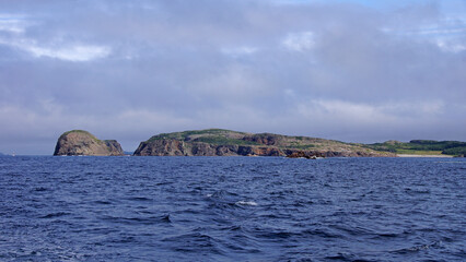 Naklejka premium Twillingate Coastline