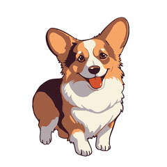 Dog Welsh Corgi  on a white background