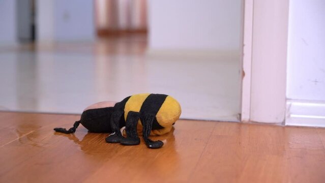 Woman Stepping On Toy Bee Falls On Brown Parquet In Apartment. Female Getting Late To Work Stands On Bee Toy Lying On Floor In Bedroom