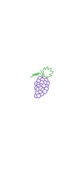 grapes fruit illustration with lines