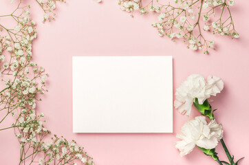Delicate white carnations, gypsophila, blank card on a pink background. Flat composition. Postcard, invitation.