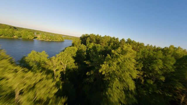 Drone flying over treetops of an island in lake Baluosas, Lithuania