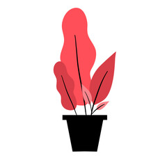 red plant decoration