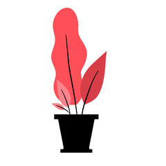 red plant decoration