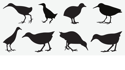 Graceful Rail Birds in Captivating Silhouette, A Diverse Set of Avian Railway Scenes