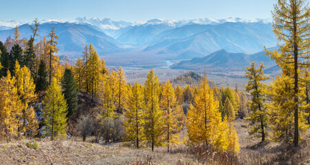 Autumn view, forest and mountains