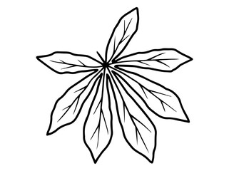 Leaves Sketch Line Art Illustration
