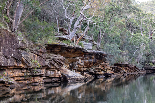 Hacking River, Royal National Park Sydney Australia