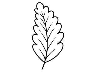 Fototapeta premium Leaves Sketch Line Art Illustration 