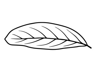 Botanical Leaves Line Art Illustration
