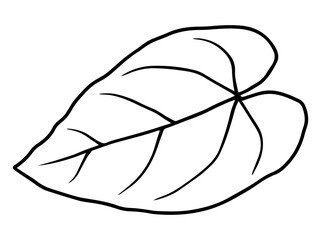 Botanical Leaves Line Art Illustration
