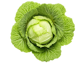 Fototapeta premium Fresh ripe whole cabbage isolated on transparent background, top view