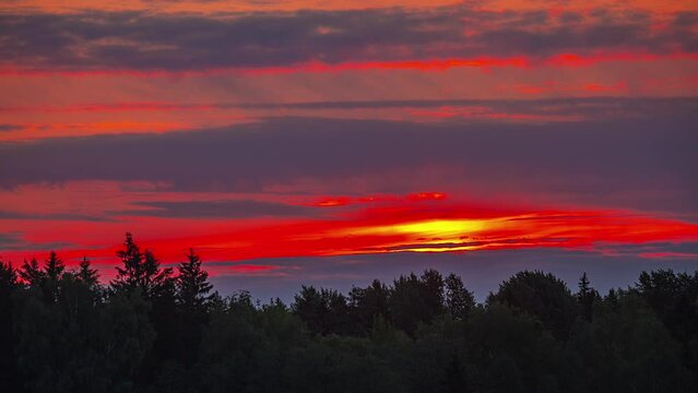 Red sunset in the sky over a forest on the horizon.