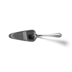 Shiny cake server isolated fit for food concept.