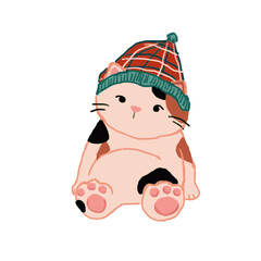 kitten sit in cute pose