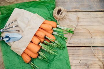 Fresh carrots in a paper bag on a wooden background. Vegetables and root vegetables are useful vitamins. Food for vegetarians. Homemade vegetables, eco-friendly. Garden shovel and rake.