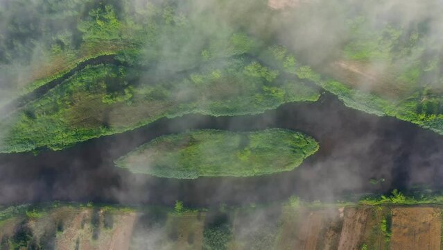 Natural river in fog - aerial high view