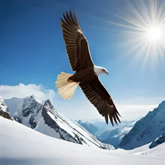 Schilderijen op glas eagle in the mountains © sumaira