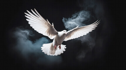 White dove flying free out of the darkroom with smoke on a black background, freedom concept and International Day of Peace