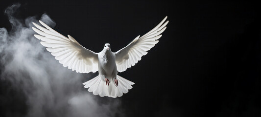 Obraz premium White dove flying free out of the darkroom with smoke on a black background. freedom concept and International Day of Peace