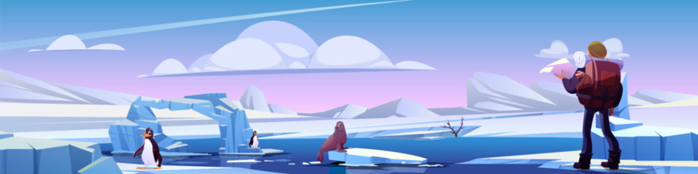 Man hiker in north - cartoon vector background. Tourist with large backpack stands on snow and frozen ice covered landscape next to penguins and sea lion. Wildlife researcher meets northern animals