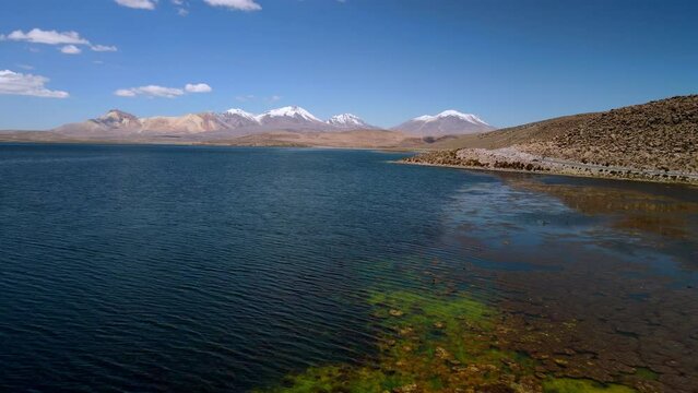 Aerial view over of Quisi Quisini, Lauca National Park in Chile - dolly forward, drone shot