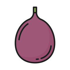 Purple fig whole cut fruit isolated exotic food berry line icon. Vector ripe summer cluster or sycamore fig, sweet snack. Thai food dessert