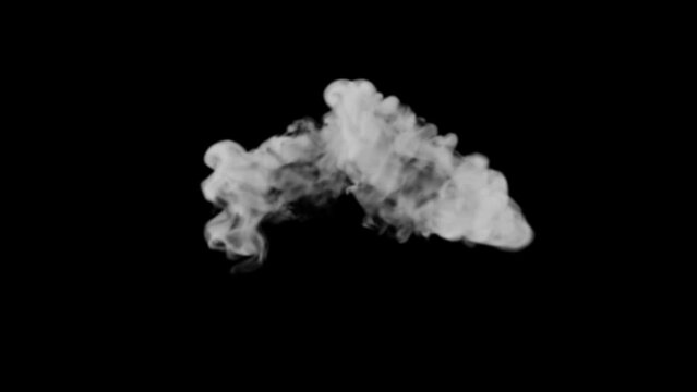 VFX Real Smoke Motion Graphics is an epic and cinematic motion graphics pack that includes a collection of realistic smoke elements. Full HD resolution and alpha channel
