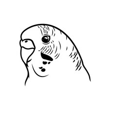 Parakeet bird in outlines art, vector illustration