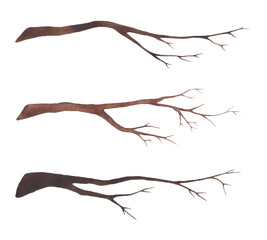A set of dry bare branches from a tree isolated on a white background. Hand-drawn in watercolor on paper. An element for design and decoration. The texture of watercolor on paper. Brown empty branches