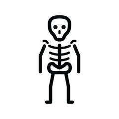 Human bone skeleton vector icon