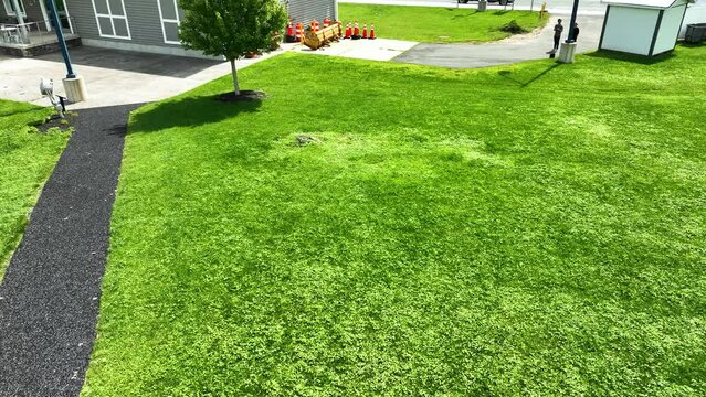 Clover filled grass at a rest stop via a drone.