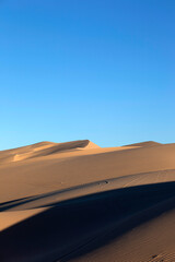 Fototapeta na wymiar Sand dunes with wheel ruts and patterns in sand vertical