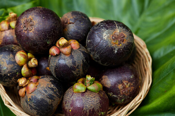 Close-up view of ripe mangosteen in wicker basket