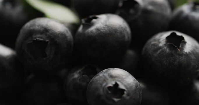 Micro video of close up of blueberries with copy space