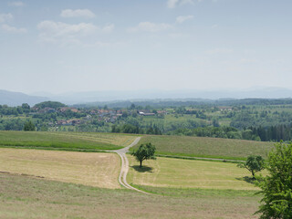 Obraz premium Schwarzwaldlandschaft. Wanderung rund um Raitbach (Schopfheim). Ebene und den Feldern zwischen Raitbach und Sattelhofweg. Blick auf das Dorf Kürnberg 