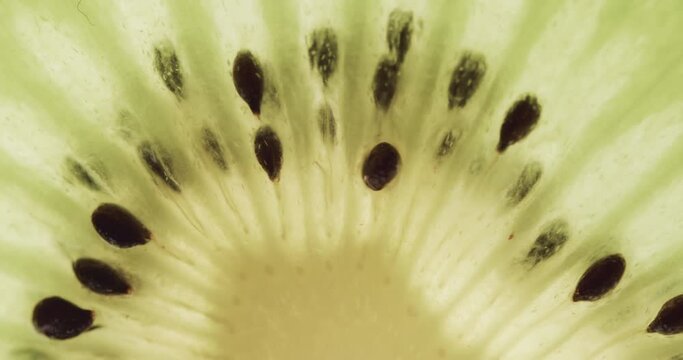 Micro video of close up of slice of kiwi fruit with copy space