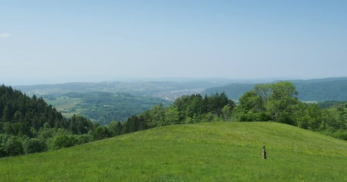 S&uuml;dschwarzwald. Wanderung Rund um Raitbach (Schopfheim) mit idyllisch Landschaft am S&uuml;dhang der Hohen M&ouml;hr. Im Westen Hausen im Wiesental und Zell im Wiesental im Norden